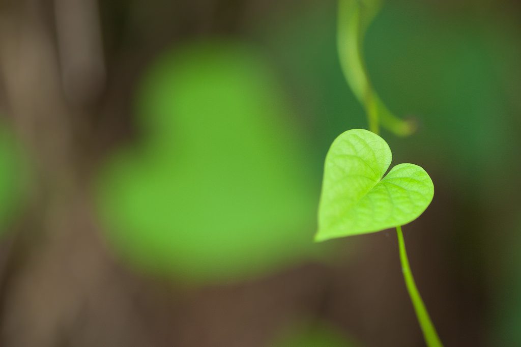 Frases sobre el poder del amor en las relaciones